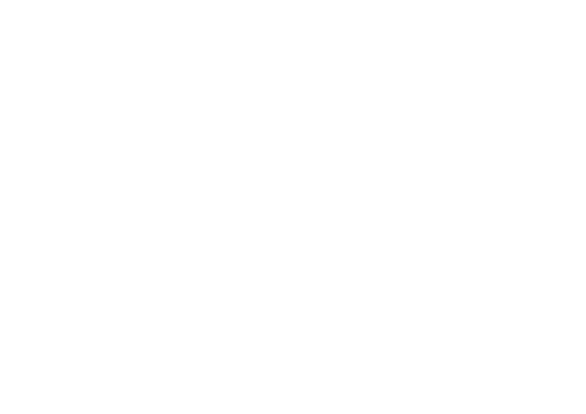 Blaze logo